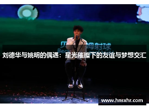 刘德华与姚明的偶遇：星光璀璨下的友谊与梦想交汇