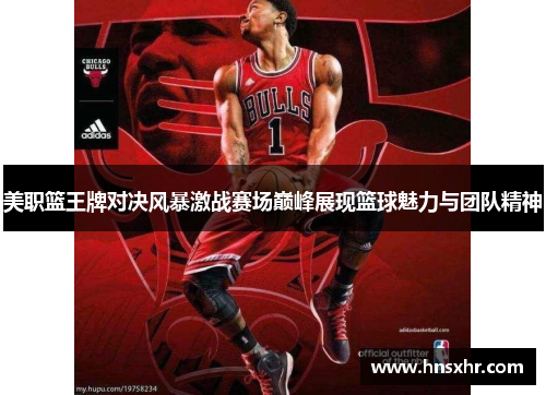 美职篮王牌对决风暴激战赛场巅峰展现篮球魅力与团队精神